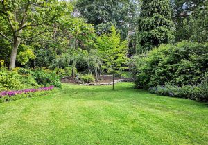 Optimiser l'expérience du jardin à Marignac-Lasclares
